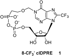 Graphical abstract: Trifluoromethylated cyclic-ADP-ribose mimic: synthesis of 8-trifluoromethyl-N1-[(5′′-O-phosphorylethoxy)methyl]-5′-O-phosphorylinosine-5′,5′′-cyclic pyrophosphate (8-CF3-cIDPRE) and its calcium release activity in T cells