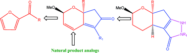 Graphical abstract: Tandem Achmatowicz-Knoevenagel protocol: diastereoselective synthesis and anticancer evaluation of cyclopenta[b]pyrane derivatives