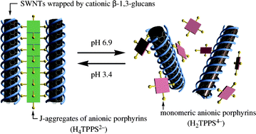 Graphical abstract: Hierarchical polymer assemblies constructed by the mutual template effect of cationic polymer complex and anionic supramolecular nanofiber