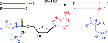 Graphical abstract: 3-Phosphono-l-alanine as pyrophosphate mimic for DNA synthesis using HIV-1 reverse transcriptase