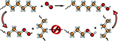 Graphical abstract: Revising the mechanism of polymer autooxidation