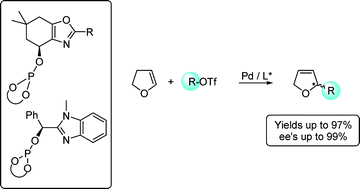 Graphical abstract: Phosphite-oxazole/imidazole ligands in asymmetric intermolecular Heck reaction