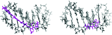 Graphical abstract: Observation of the reversibility of a covalent pyrrolobenzodiazepine (PBD) DNA adduct by HPLC/MS and CD spectroscopy