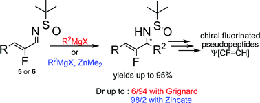 Graphical abstract: Synthesis of fluorinated pseudopeptides: metal mediated reversal of stereochemistry in diastereoselective addition of organometallic reagents to N-(tert-butanesulfinyl)-α-fluoroenimines