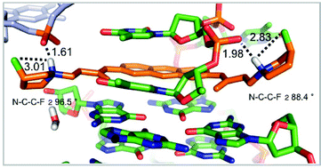 Graphical abstract: Fluorine in medicinal chemistry: β-fluorination of peripheral pyrrolidines attached to acridine ligands affects their interactions with G-quadruplex DNA