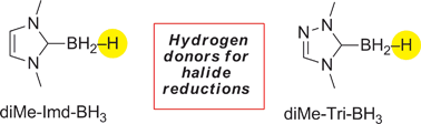 Graphical abstract: Radical reductions of alkyl halides bearing electron withdrawing groups with N-heterocyclic carbene boranes