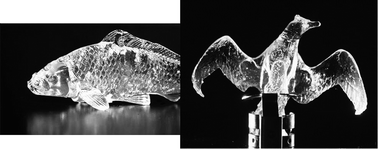 Graphical abstract: A facile method for synthesizing free-shaped and tough double network hydrogels using physically crosslinked poly(vinyl alcohol) as an internal mold
