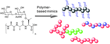 Graphical abstract: Slowing the growth of ice with synthetic macromolecules: beyond antifreeze(glyco) proteins