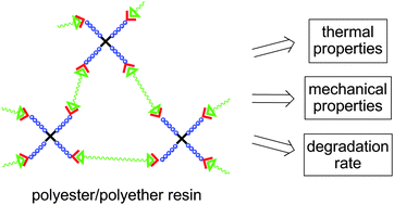 Graphical abstract: Synthesis, characterization and in vitro degradation of 3D-microstructured poly(ε-caprolactone) resins