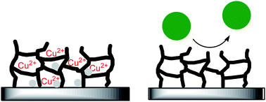 Graphical abstract: Hydrophilization of poly(ether ether ketone) films by surface-initiated atom transfer radical polymerization
