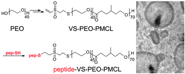 Graphical abstract: Synthesis and characterization of reactive PEO–PMCL polymersomes