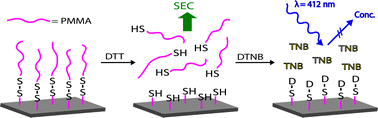 Graphical abstract: Selective cleavage of polymer grafts from solid surfaces: assessment of initiator content and polymer characteristics