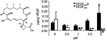 Graphical abstract: Borrelidin modulates the alternative splicing of VEGF in favour of anti-angiogenic isoforms