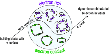 Graphical abstract: Exploiting donor–acceptor interactions in aqueous dynamic combinatorial libraries: exploratory studies of simple systems