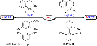 Graphical abstract: Palladium-catalyzed coupling of functionalized primary and secondary amines with aryl and heteroaryl halides: two ligands suffice in most cases
