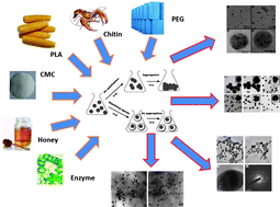 Graphical abstract: Green synthesis of metal nanoparticles: Biodegradable polymers and enzymes in stabilization and surface functionalization