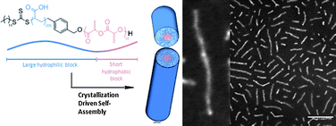 Graphical abstract: Cylindrical micelles from the living crystallization-driven self-assembly of poly(lactide)-containing block copolymers