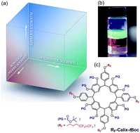 Graphical abstract: Orthogonal processing: A new strategy for organic electronics