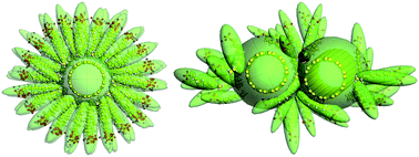 Graphical abstract: Dispersion of carbon nanotubes with SDS surfactants: a study from a binding energy perspective