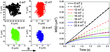 Graphical abstract: Anisotropic microrheological properties of chain-forming magnetic fluids