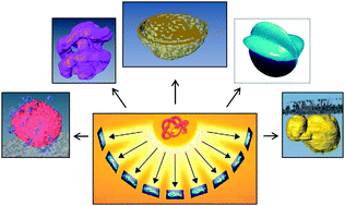 Graphical abstract: Cryo-electron tomography: 3-dimensional imaging of soft matter