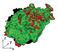Graphical abstract: Correlation between fibrin network structure and mechanical properties: an experimental and computational analysis
