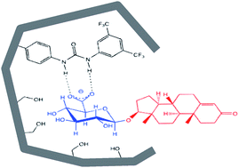 Graphical abstract: Glucuronide directed molecularly imprinted solid-phase extraction: isolation of testosterone glucuronide from its parent drug in urine