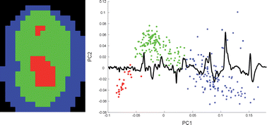 Graphical abstract: Understanding the molecular information contained in principal component analysis of vibrational spectra of biological systems