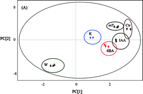 Graphical abstract: Metabolomics analysis of major metabolites in medicinal herbs