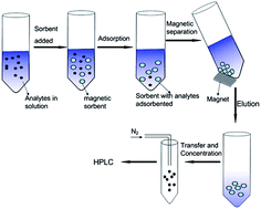 Graphical abstract: Application of magnetic material in the determination of polycyclic aromatic hydrocarbons in tree leaves by high performance liquid chromatography