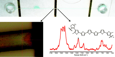 Graphical abstract: In situ monitoring of polymer redox states by resonance μRaman spectroscopy and its applications in polymer modified microfluidic channels