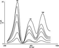 Graphical abstract: Fabrication of a sensor for simultaneous determination of norepinephrine, acetaminophen and tryptophan using a modified carbon nanotube paste electrode