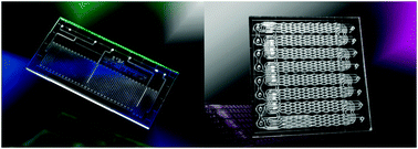 Graphical abstract: Recent advances in micro reaction technology