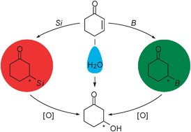 Graphical abstract: Enantioselective formal hydration of α,β-unsaturated acceptors: asymmetric conjugate addition of silicon and boron nucleophiles