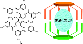 Graphical abstract: Encapsulation of [F4(H2O)10]4− in a dimeric assembly of an unidirectional arene based hexapodal amide receptor