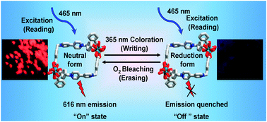 Graphical abstract: Reversible luminescence switch in a photochromic metal–organic framework