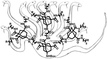 Graphical abstract: HYDRAmers: design, synthesis and characterization of different generation novel Hydra-like dendrons based on multifunctionalized adamantane