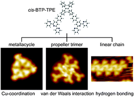 Graphical abstract: Selective supramolecular assembly of multifunctional ligands on a Cu(111) surface: metallacycles, propeller trimers and linear chains
