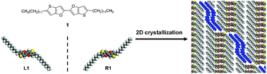 Graphical abstract: Conglomerate with periodic enantiomer inclusion: A mechanism for homochirality erosion