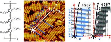Graphical abstract: Self-assembled monolayers of clamped oligo(phenylene-ethynylene-butadiynylene)s