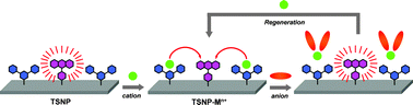 Graphical abstract: Silica nanoparticles functionalised with cation coordination sites and fluorophores for the differential sensing of anions in a quencher displacement assay (QDA)