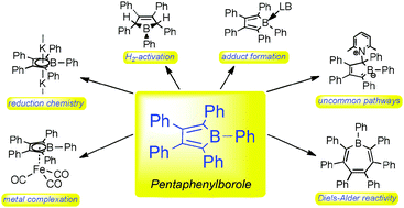 Graphical abstract: Recent developments in the chemistry of antiaromatic boroles