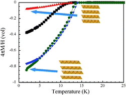 Graphical abstract: Phase separation and superconductivity in Fe1+xTe0.5Se0.5