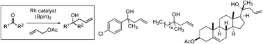Graphical abstract: Rhodium-catalyzed redox allylation reactions of ketones