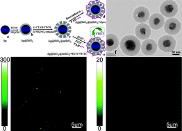 Graphical abstract: Core-shell Ag@SiO2@mSiO2 mesoporous nanocarriers for metal-enhanced fluorescence