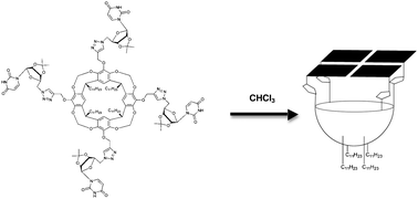 Graphical abstract: Synthesis and characterization of a template-assembled synthetic U-quartet
