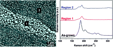Graphical abstract: Preferential elimination of thin single-walled carbon nanotubes by iron etching