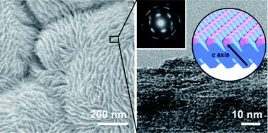 Graphical abstract: Mesocrystal nanosheet of rutile TiO2 and its reaction selectivity as a photocatalyst