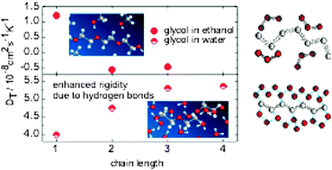 Graphical abstract: The Soret effect of mono-, di- and tri-glycols in ethanol