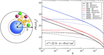 Graphical abstract: Ion size effects on the electric double layer of a spherical particle in a realistic salt-free concentrated suspension